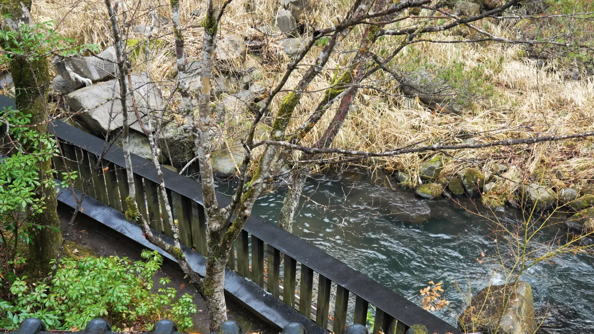 A timber railing above the river at Kurokawa Onsen among autumn scrub