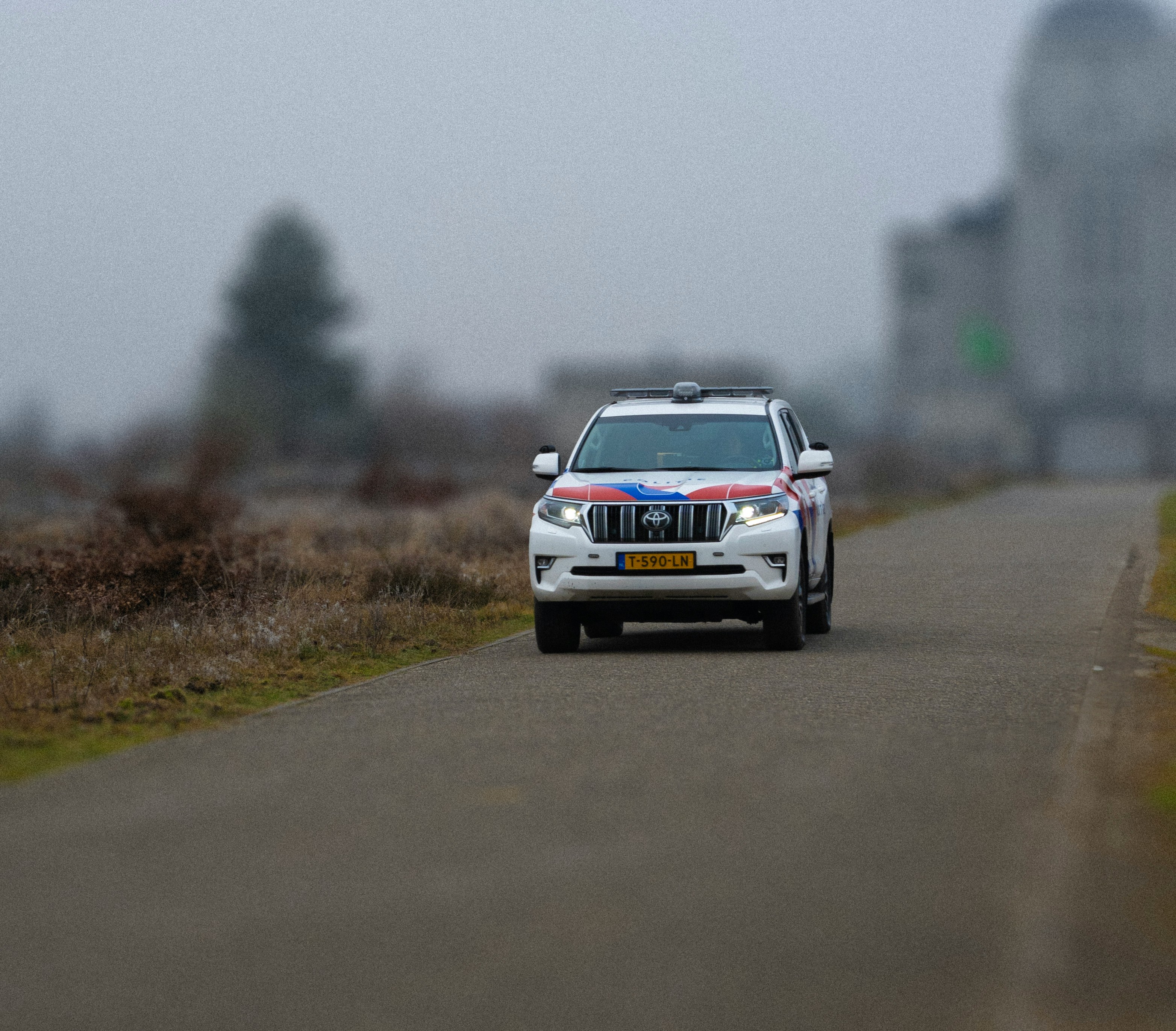 A white suv driving down a foggy road