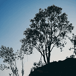 Atsiliepimas apie paslaugas