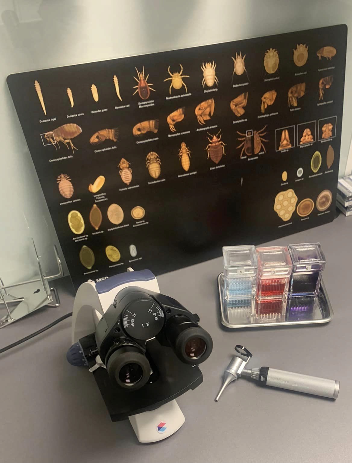 Veterinär diagnostik