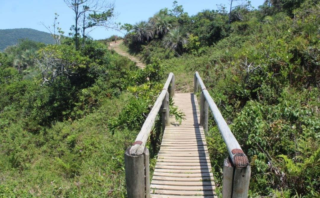 Trilha com ponte de madeira