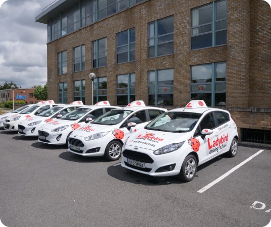 Fleet of Ladybird Driving School cars parked for its4women driving lessons in Ireland
