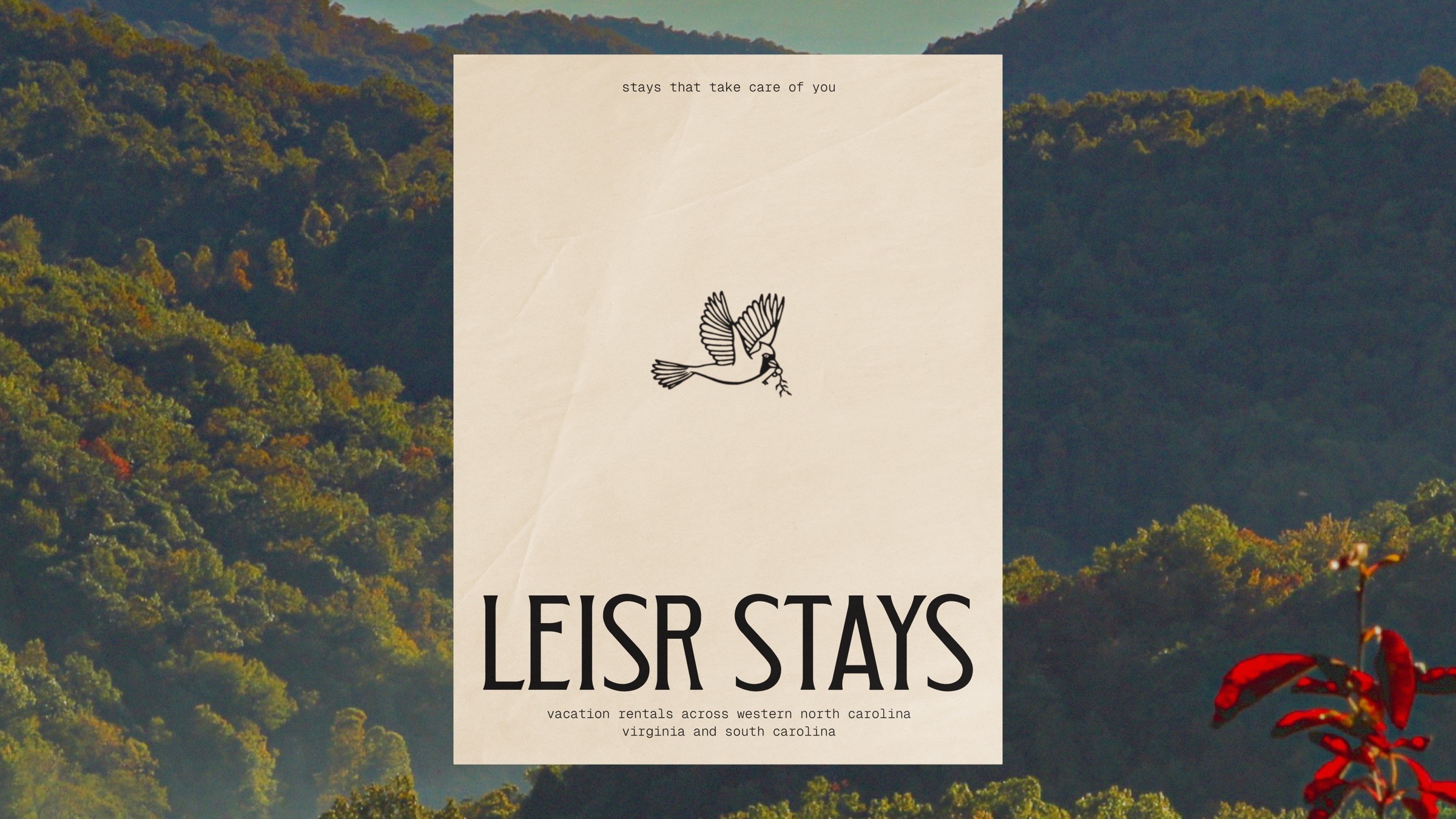 Leisr Stays poster over a mountain forest
