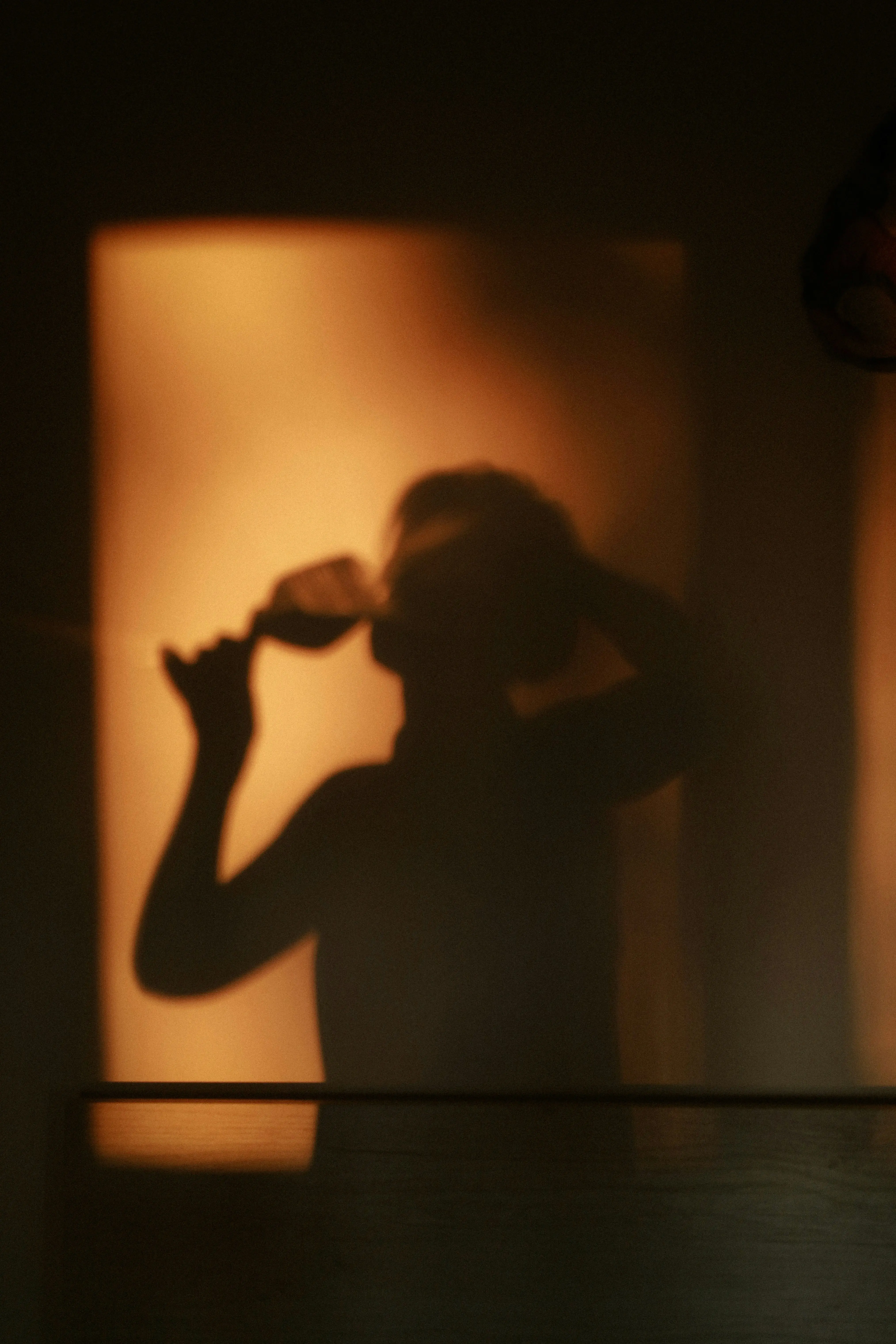Shadow of person drinking wine against warm light