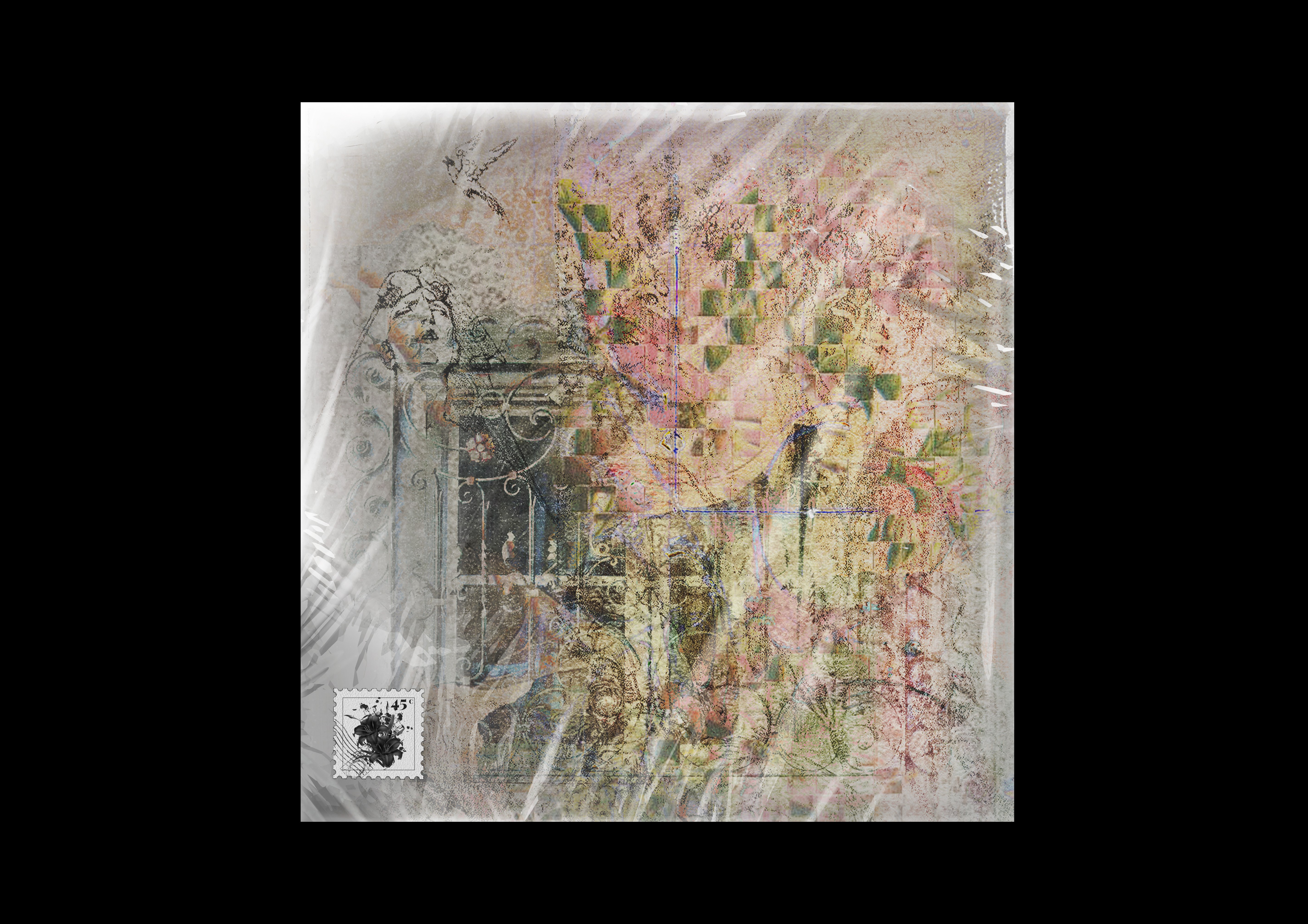 C6 Vinyl cover