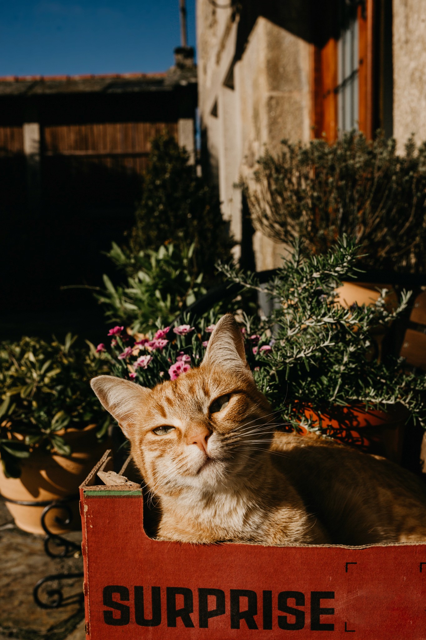 A casa do cuco | Fotografía Lorena Grandío
