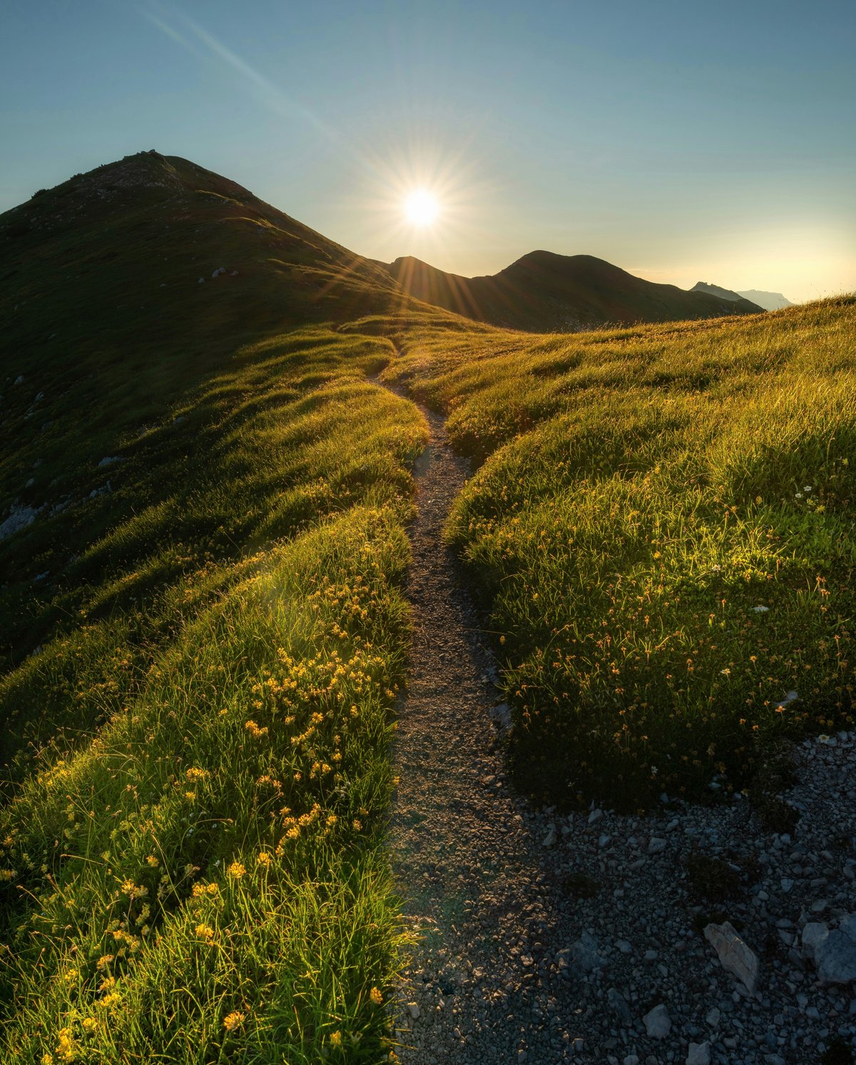Walking the talk: How Ecologi calculated its carbon footprint