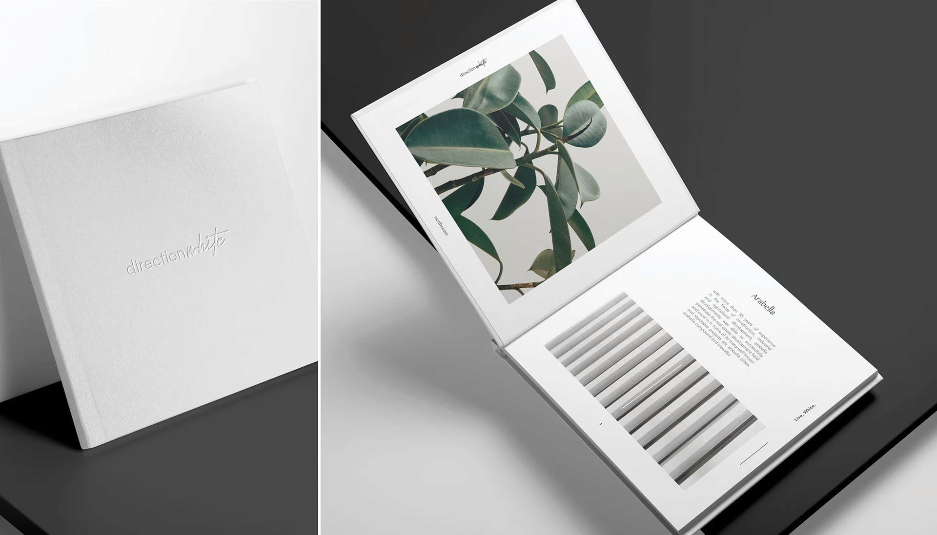 KOR , brand by LongeBlack