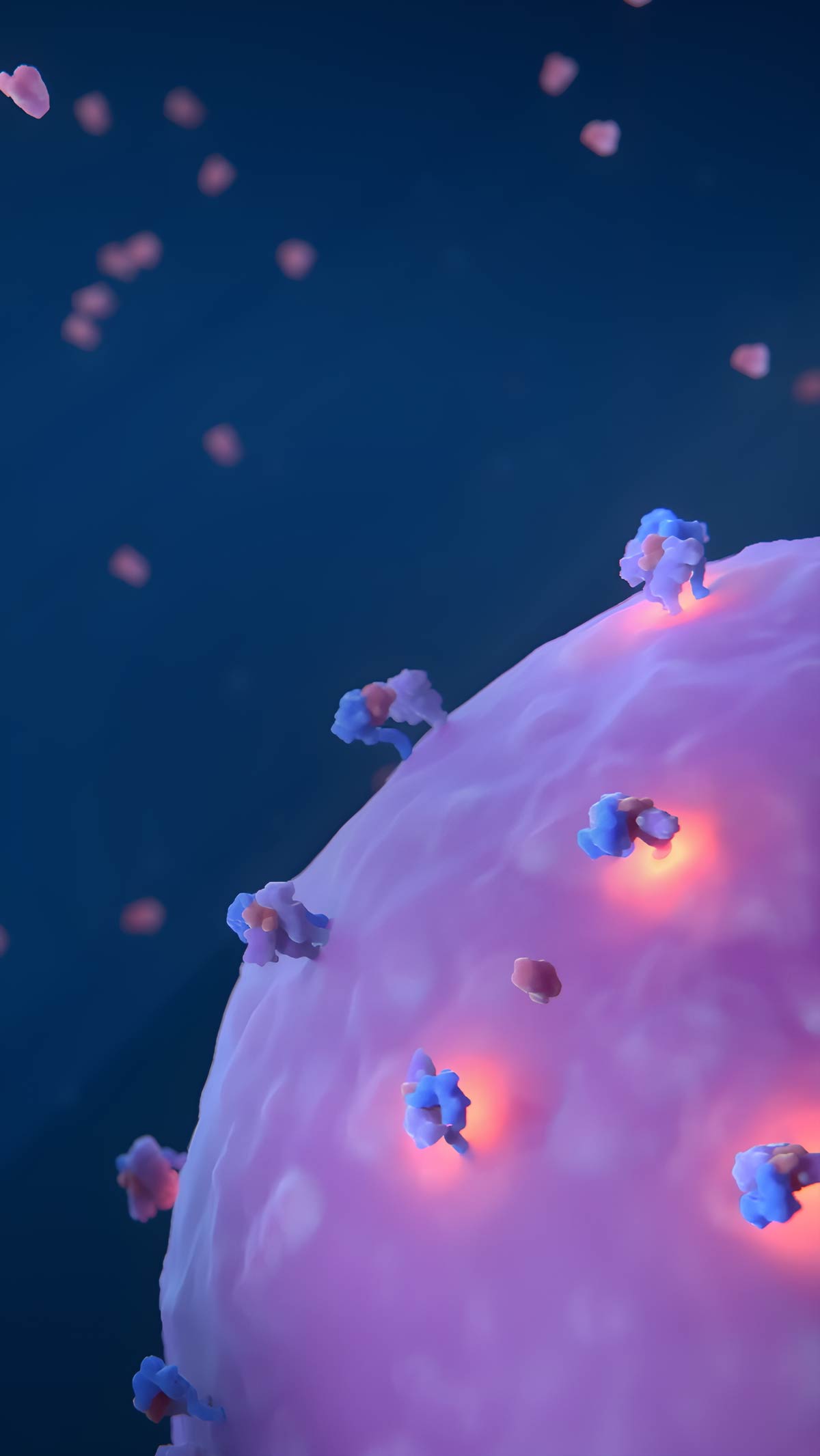 Simplified 3D visualization of the surface of an immune cells with IL-2 molecules bound to the receptors