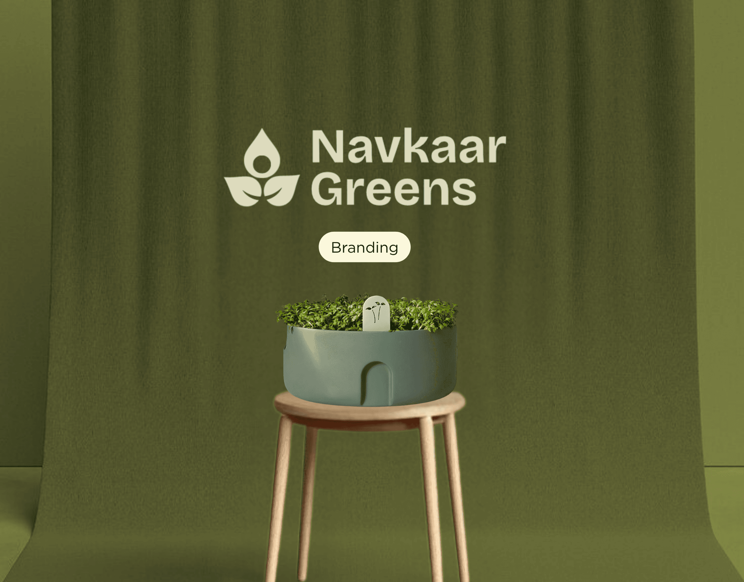 Visual Design Project