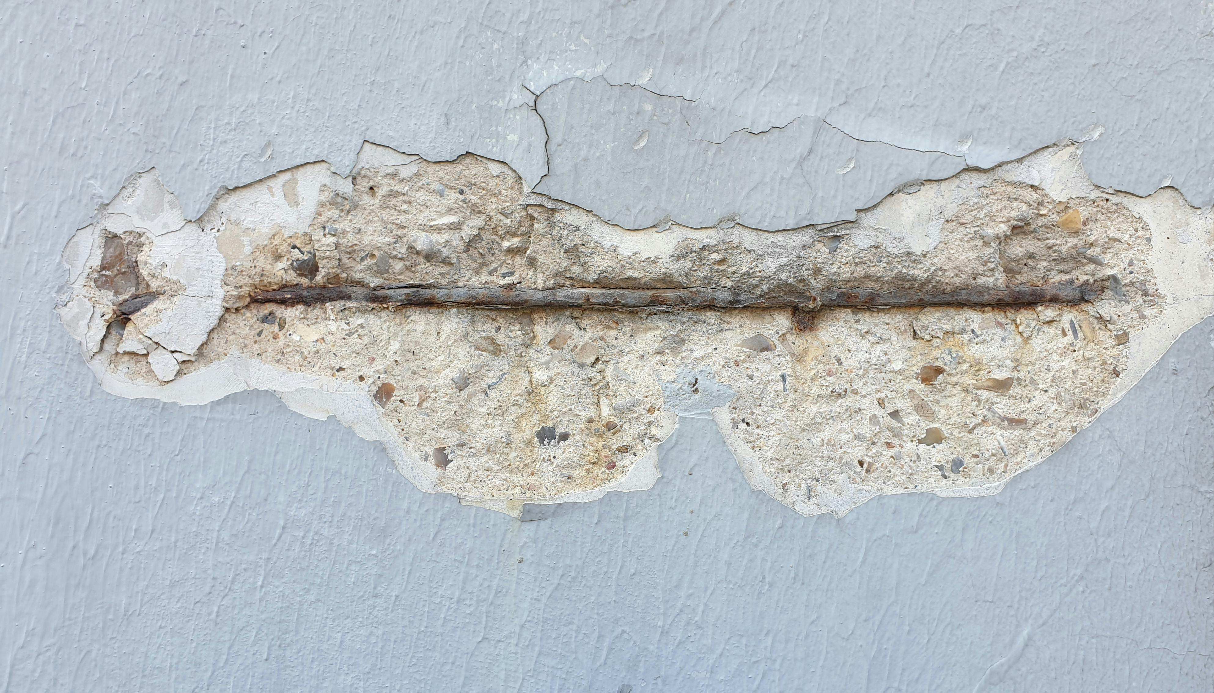 Mold Inspection