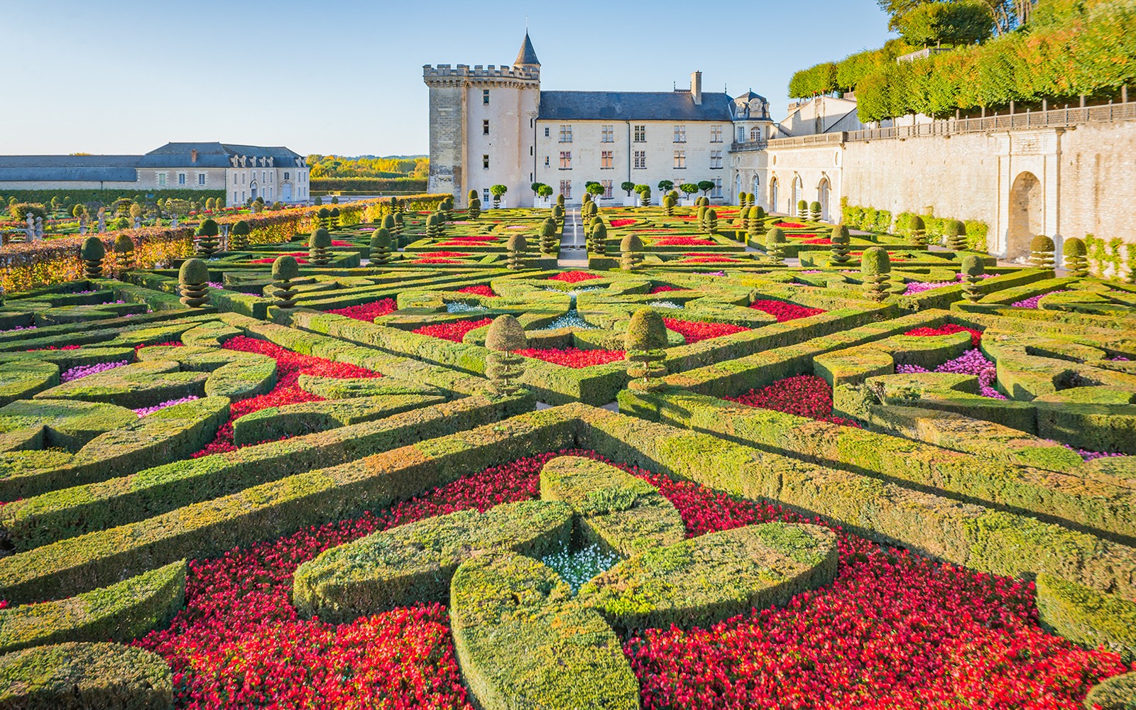 Ornamental Garden at Château of Villandry with intricate hedges and vibrant flowers.