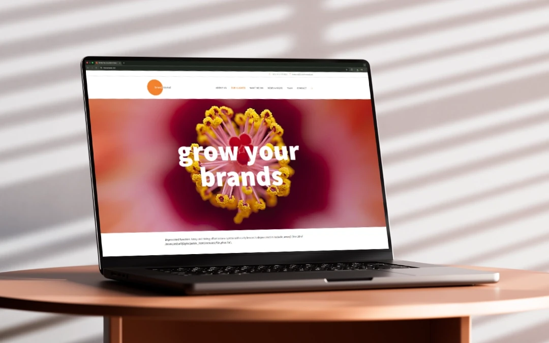 Brand Reveal website before image