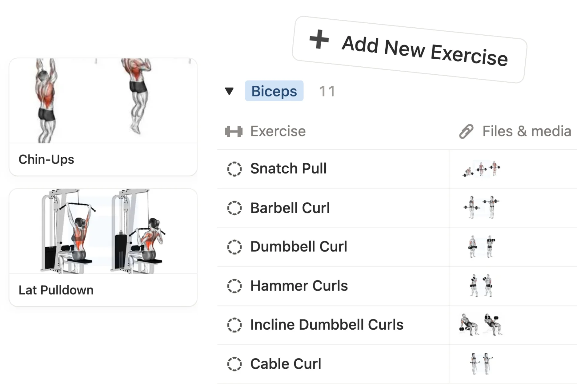 personal trainer notion template
