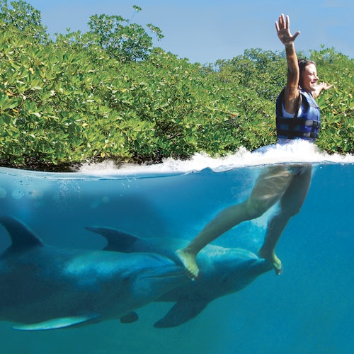 Una persona con chaleco salvavidas monta sobre dos delfines en el agua, con exuberante vegetación visible en el fondo.