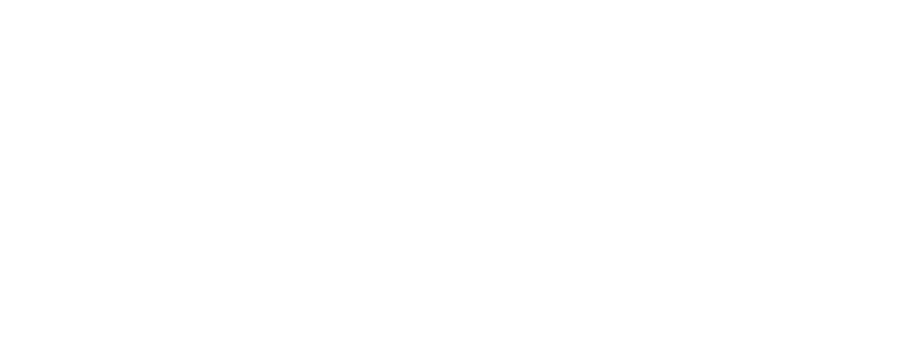 Logo Icon