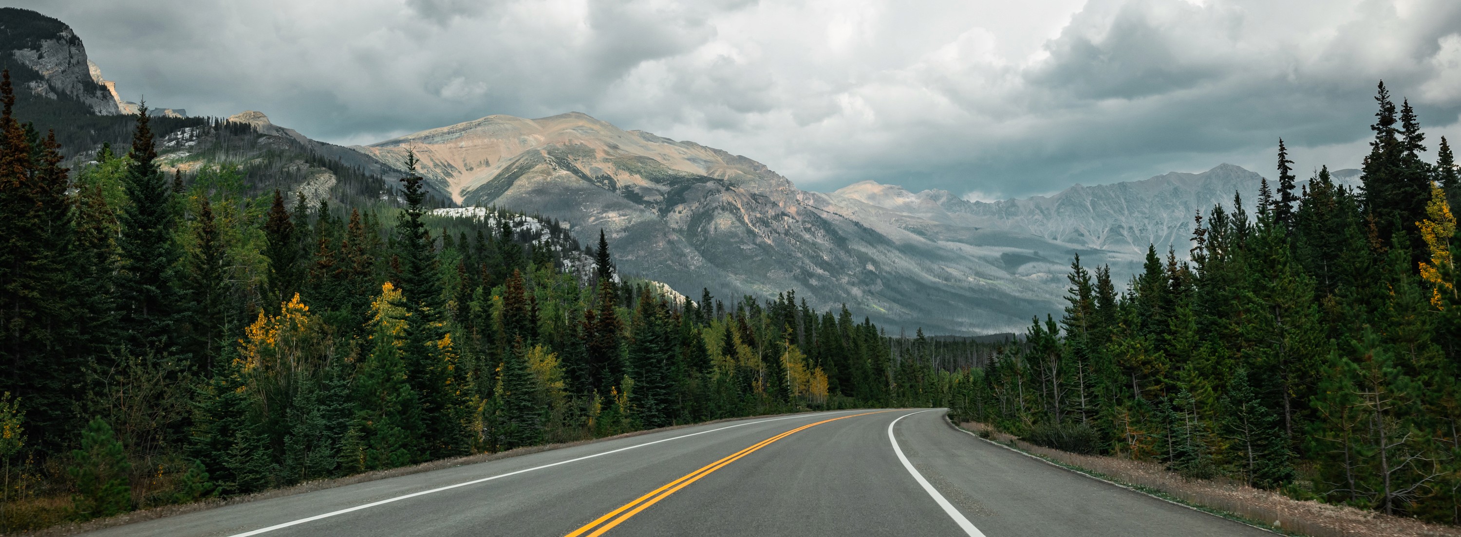Road Into the Range