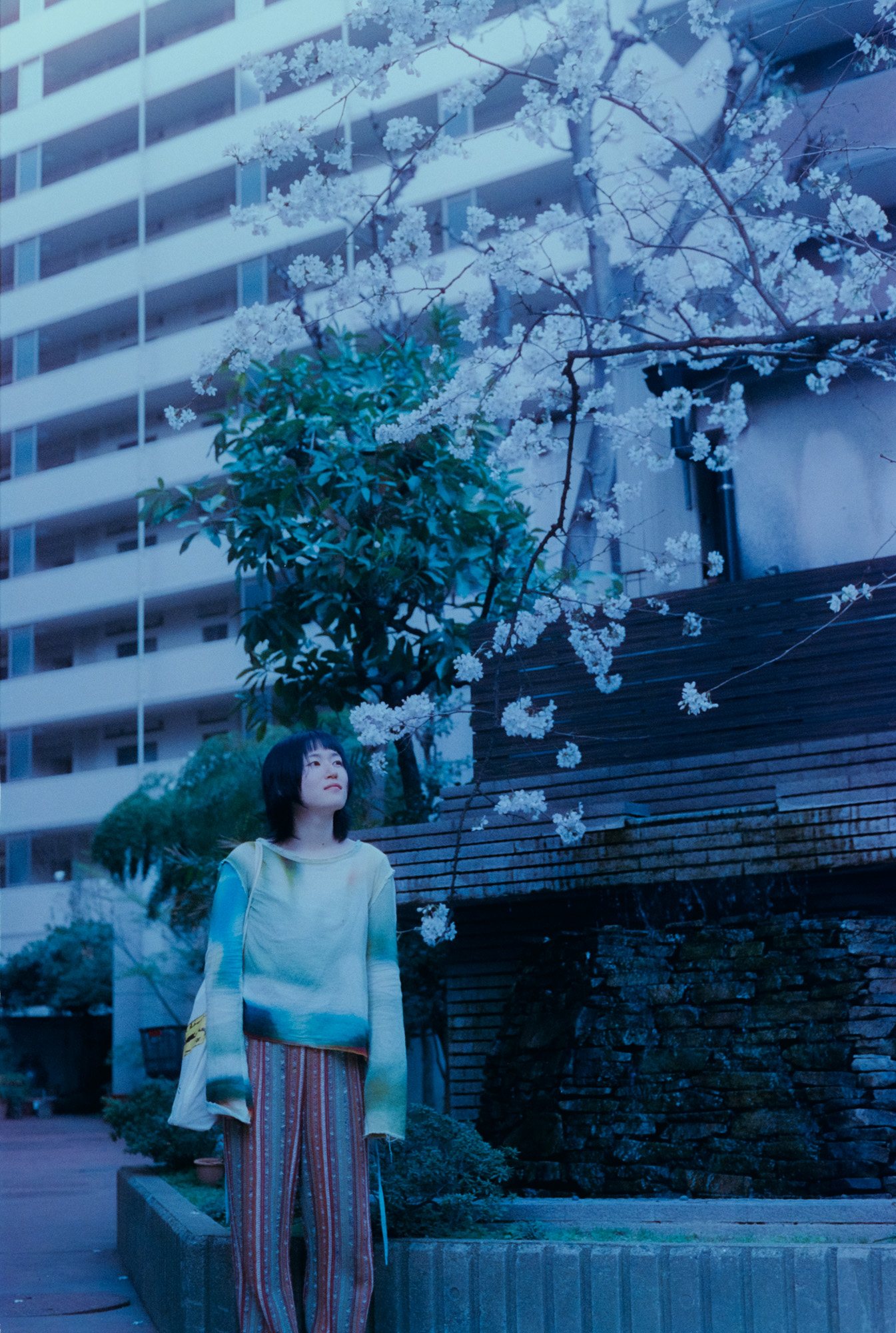 Taisei Matsumoto, 2025 exhibition view 22