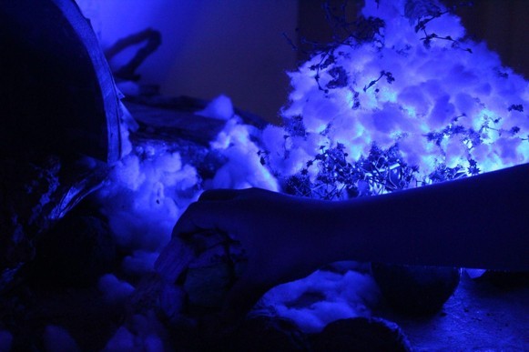 Experiencia sensorial en espacio oscuro con luz azul neón sobre textura suave