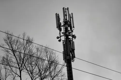 ein Mobilfunkmast und Bäume