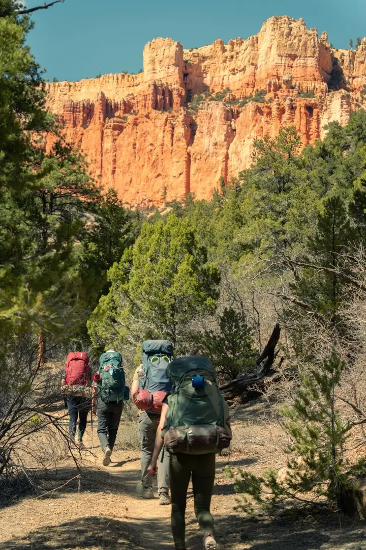 Four hikers with packs on, walking towards a sheer rockface