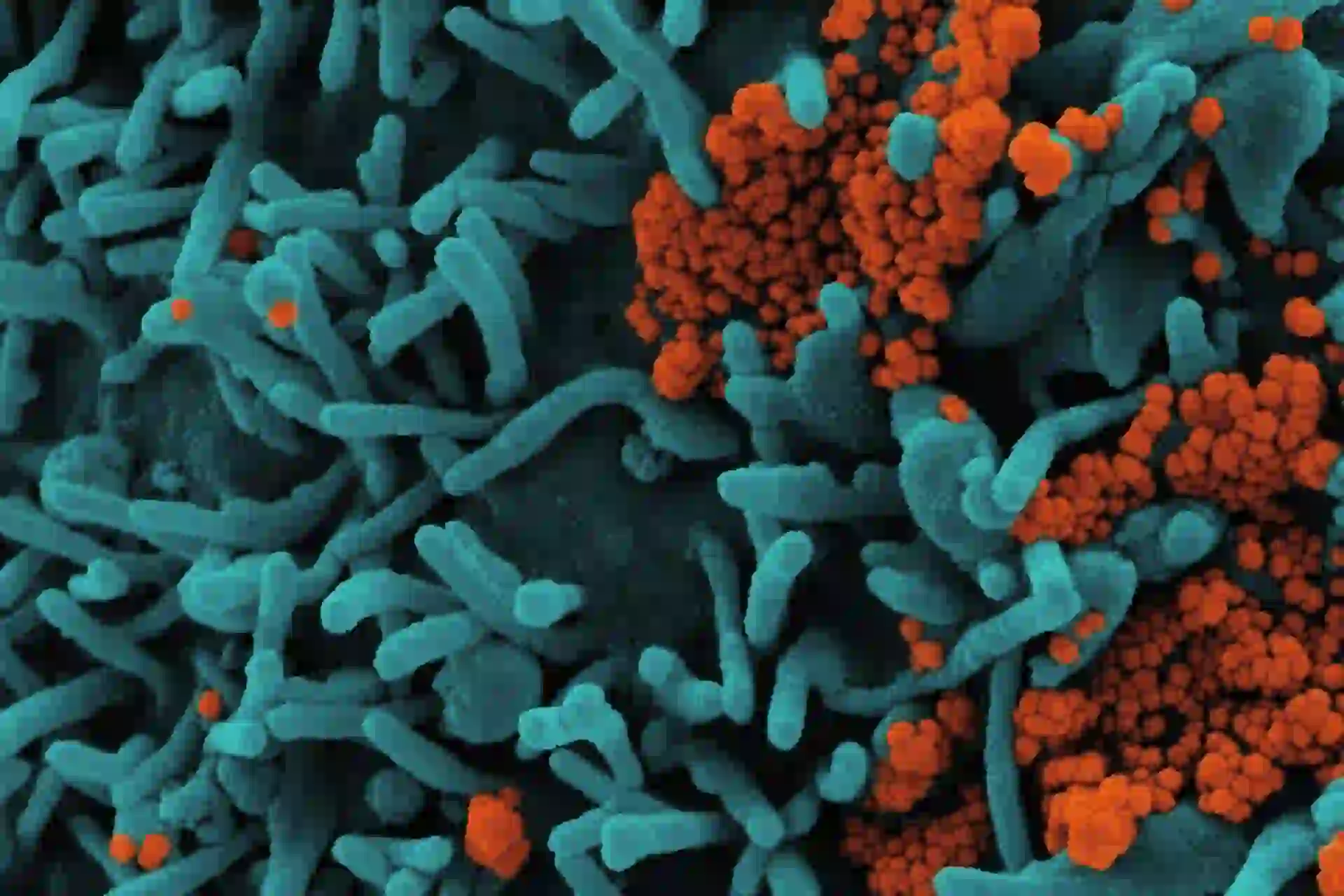 Abstract digital glitch effect with pixelated distortion and light streaks