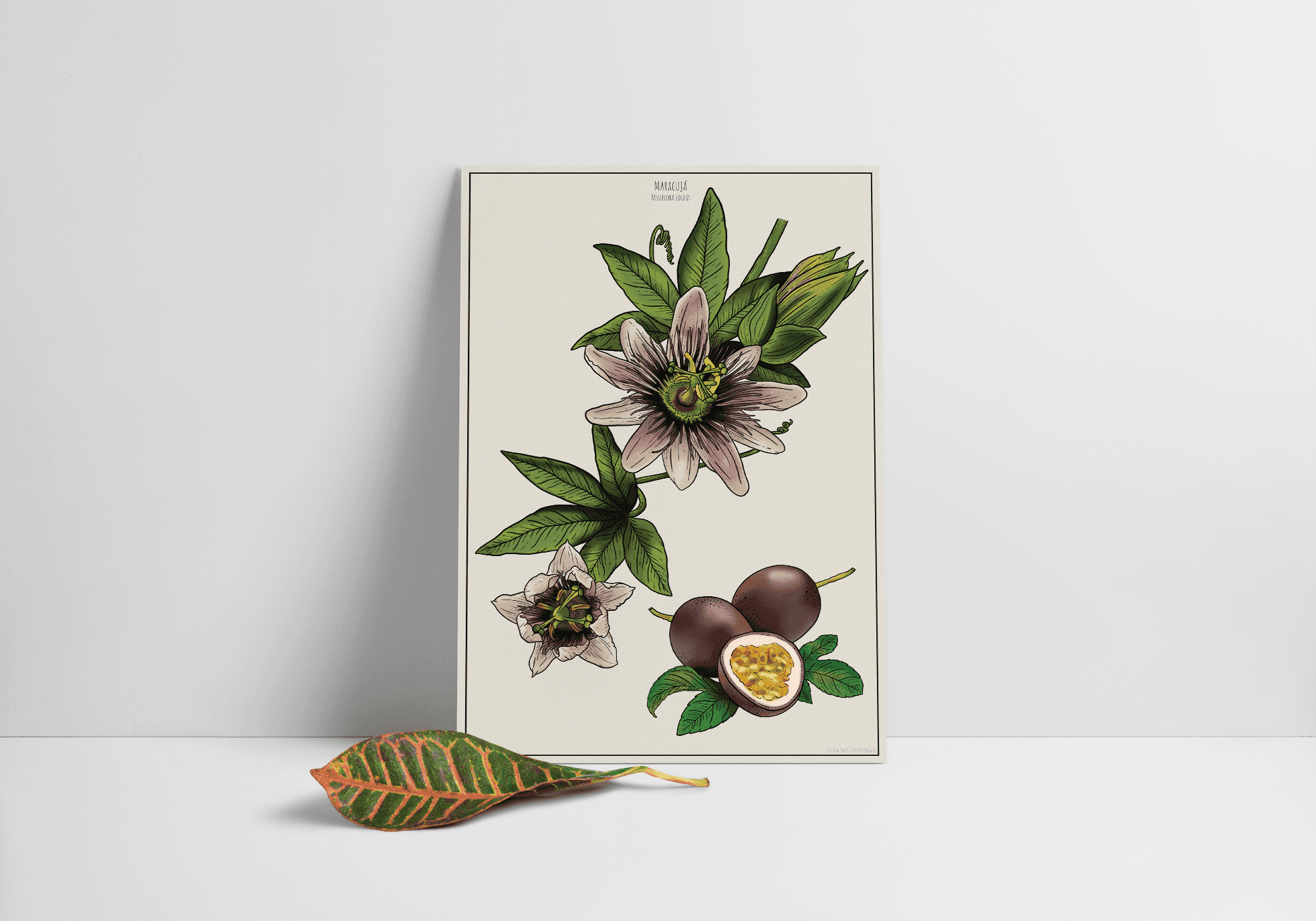 The image featured at the top of the about us page #2