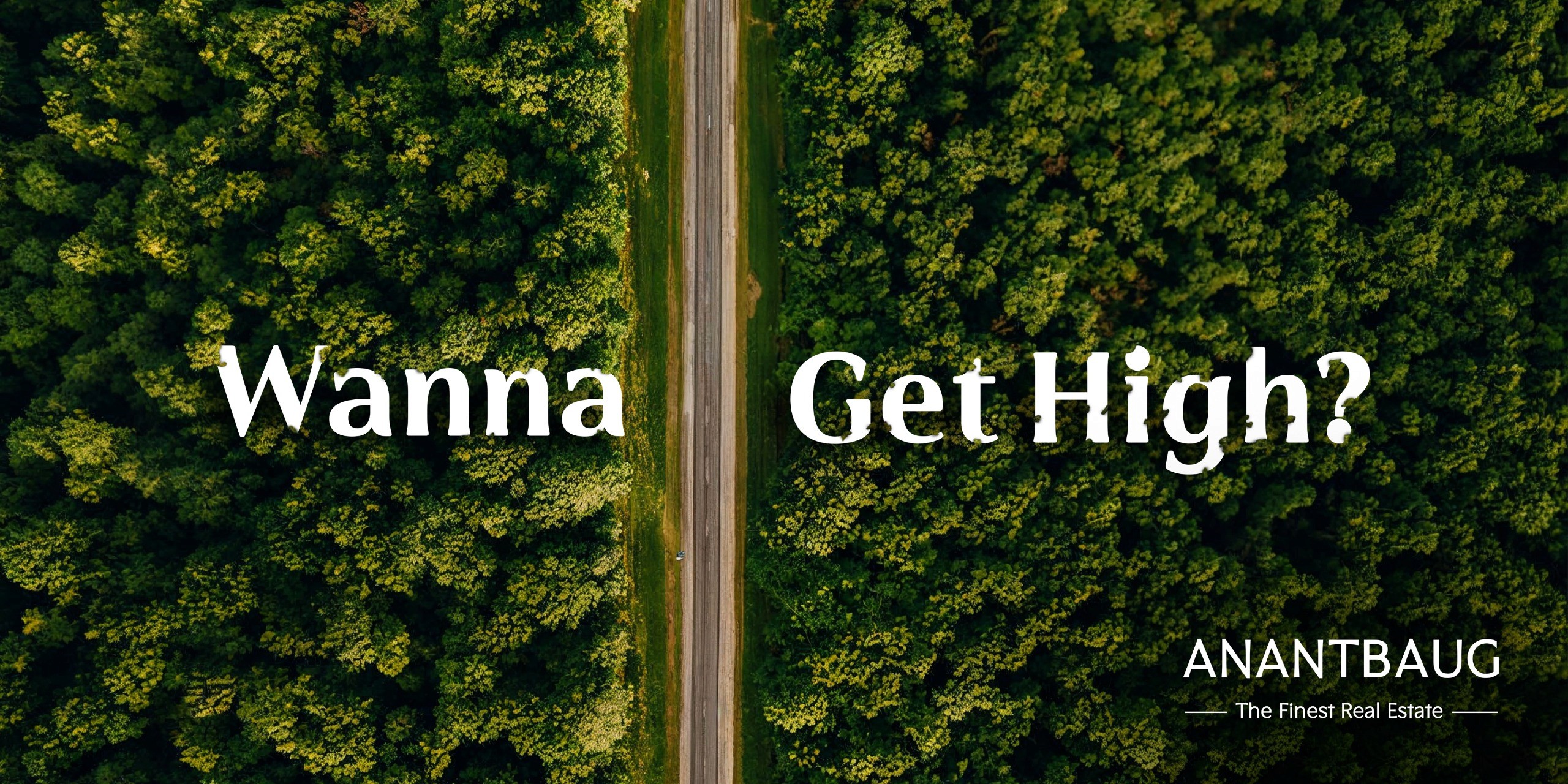 purple and white heart illustration