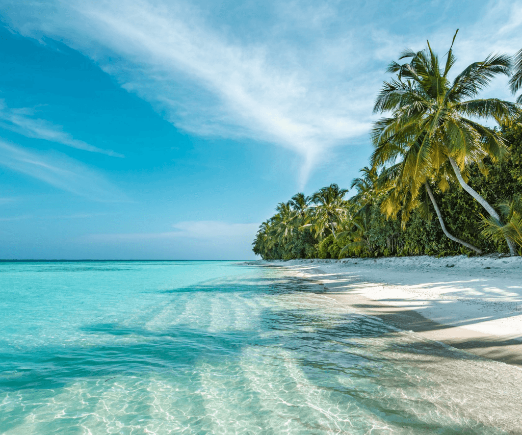 Scenic Delphine beach with swaying palm trees and tranquil, clear waters inviting relaxation.