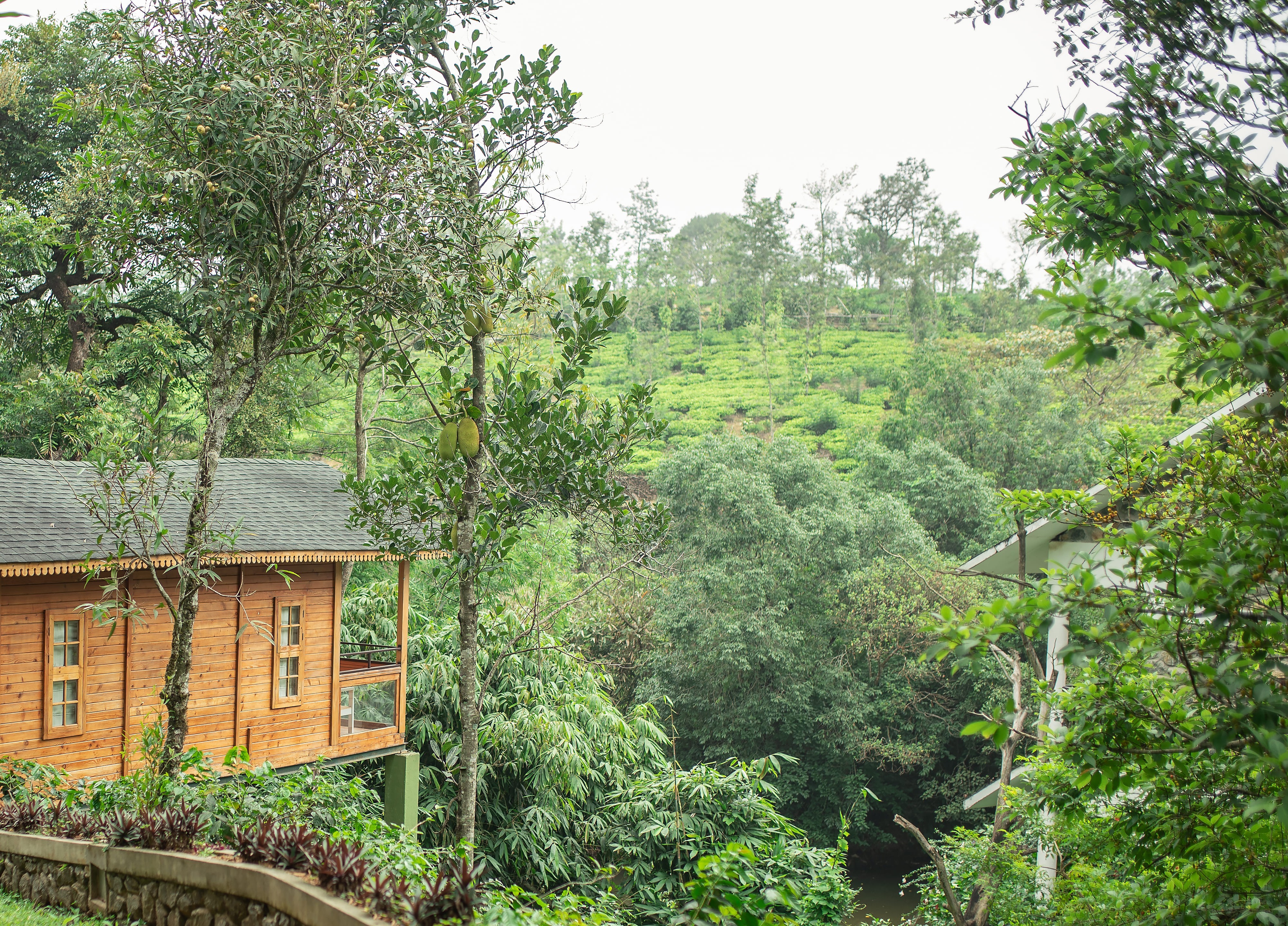 What Makes Plantation Resorts in Kerala Truly Unique
