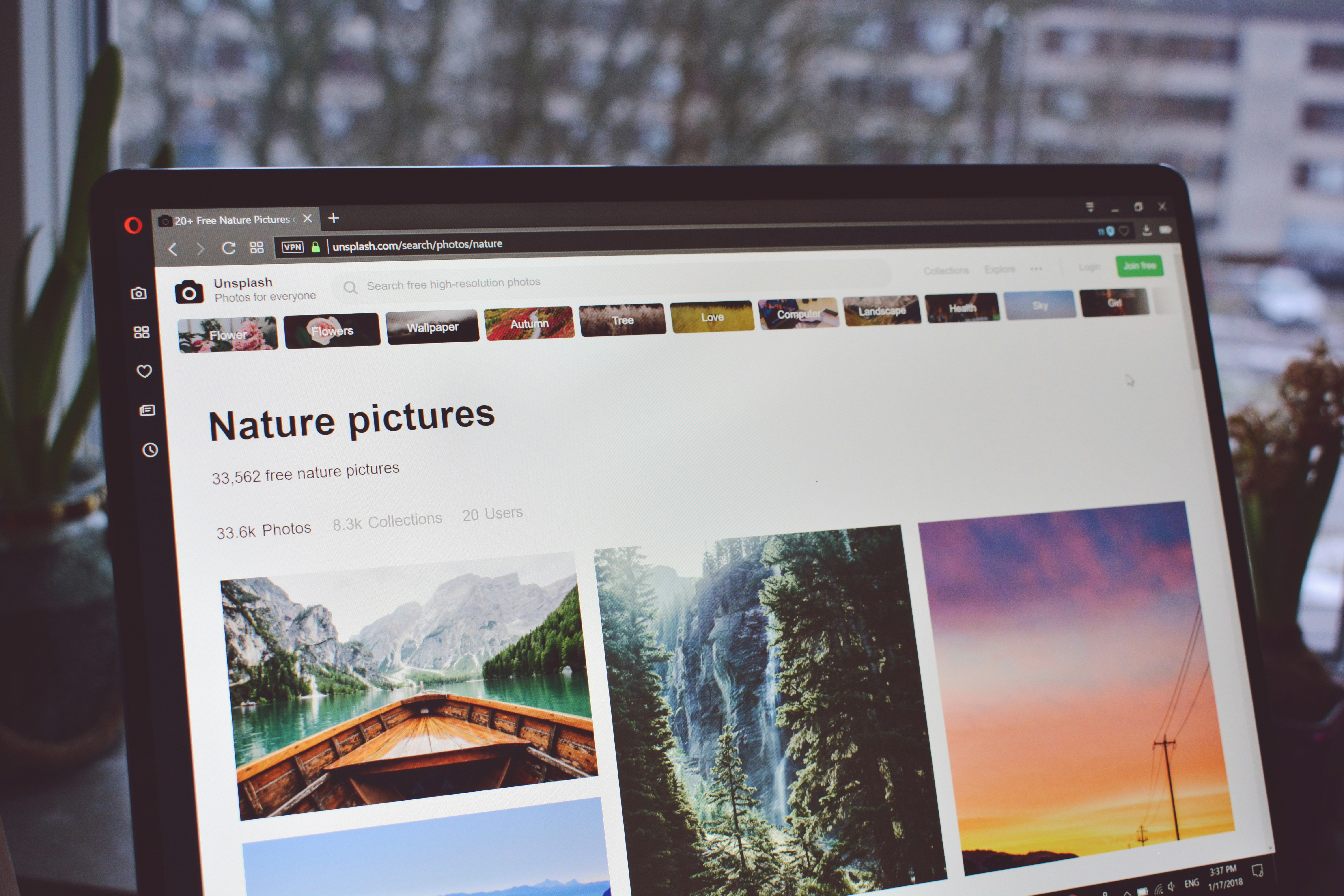 bilder werden nicht angezeigt auf der website