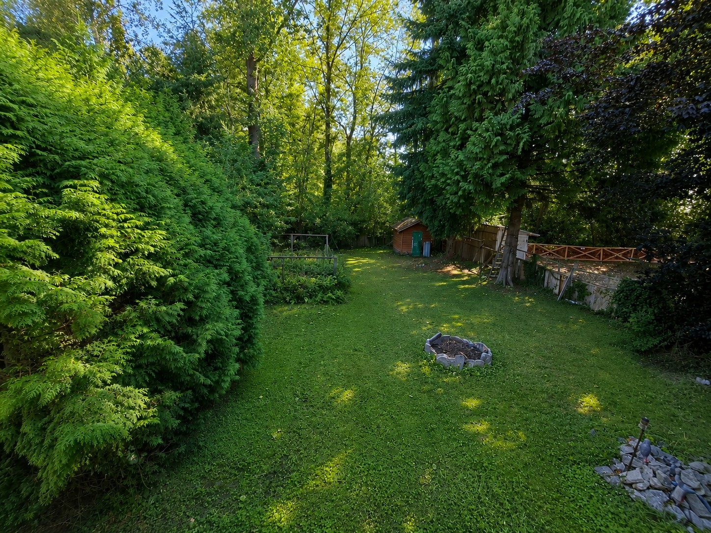 Spacious backyard at Odyssey House with trees, lawn and a firepit.