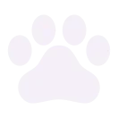 Pawshy Icon