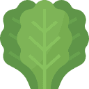 Cime di rapa