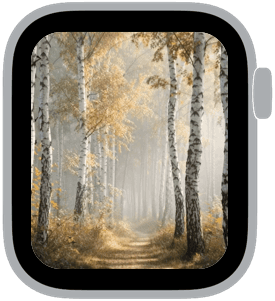 woodland mist Apple Watch face preview 2 featuring autumn and summer.