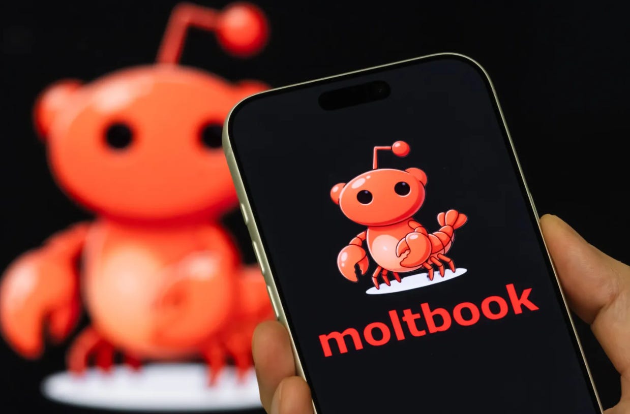 Ilustración de la red social Moltbook