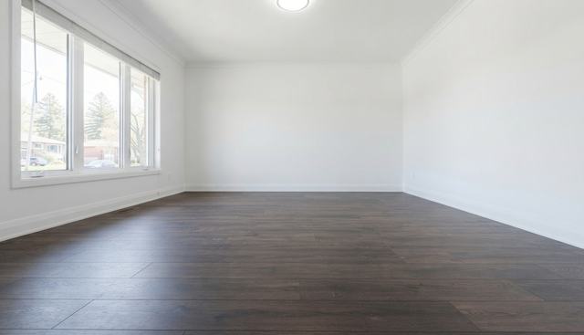 Flooring & Tiling — CG Walls & Floors