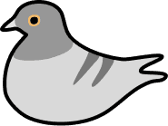 Carrier Pigeon