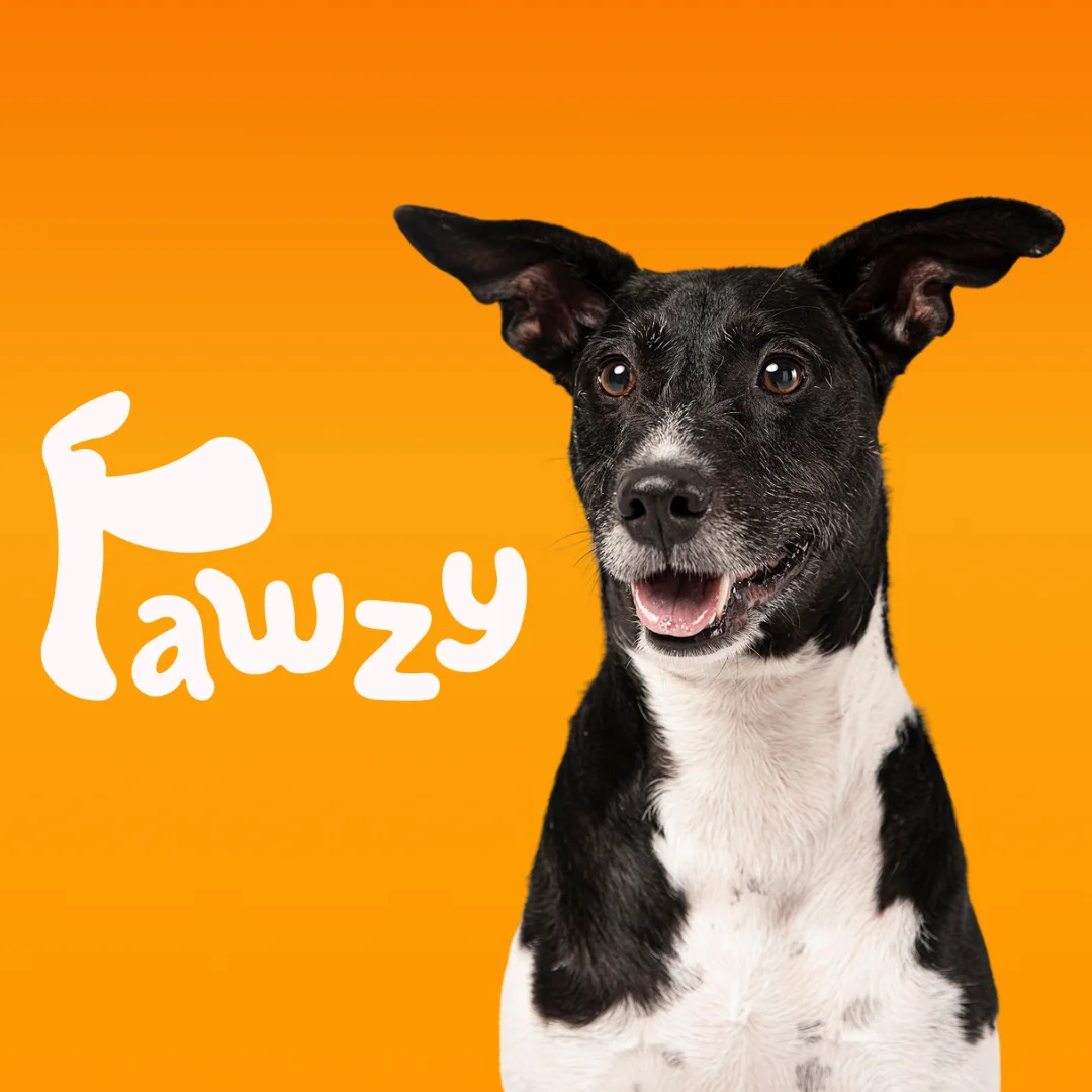 Logo conceput pentru Pawzy