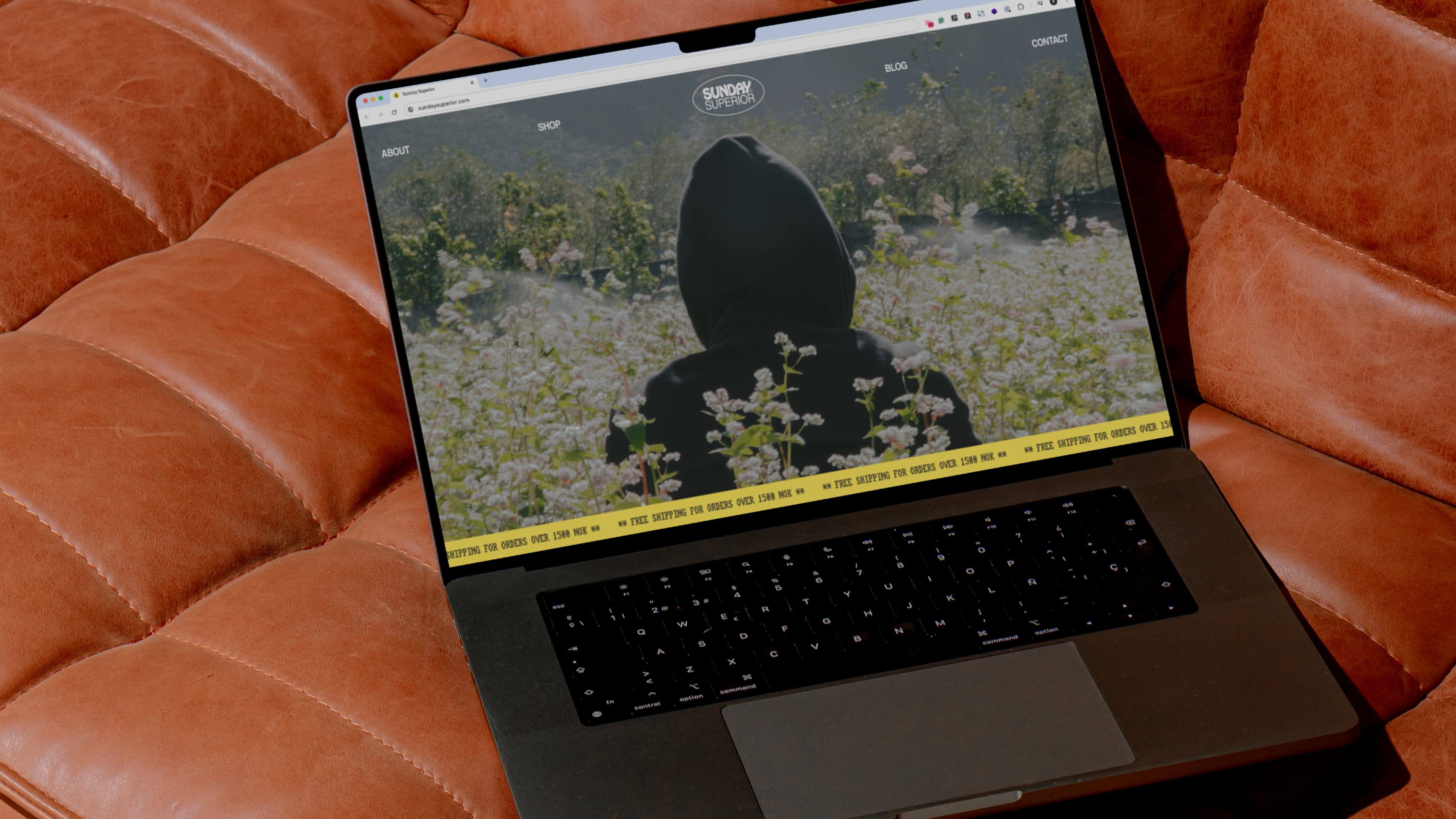 Sunday Superior Website Sketch