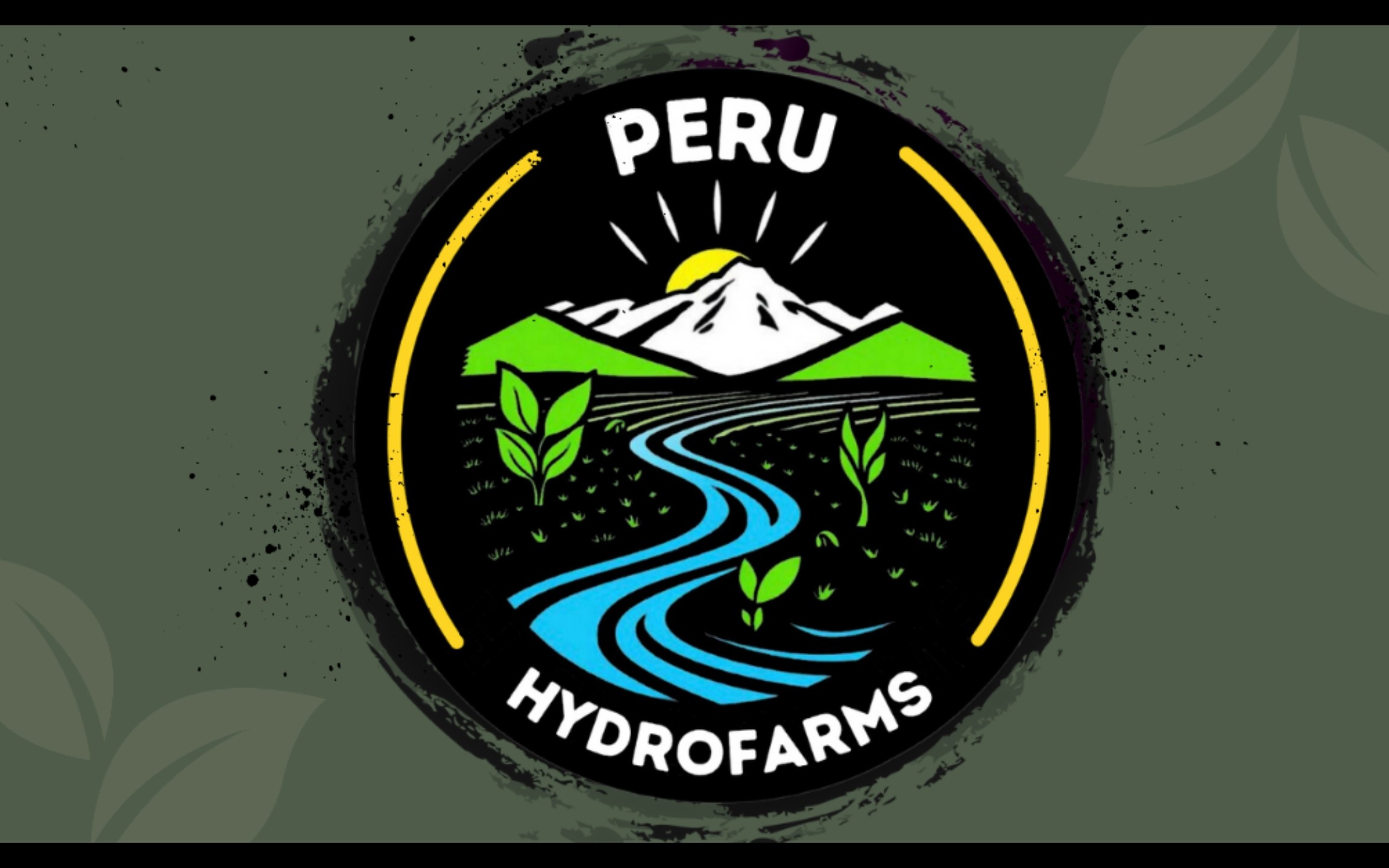 Example work of branding design