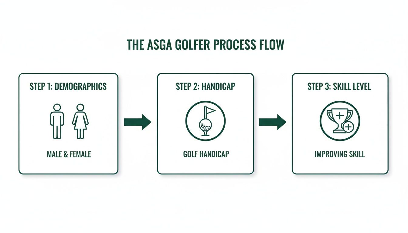 A process flow diagram illustrating the ASGA golfer journey through demographics, handicap, and skill level.