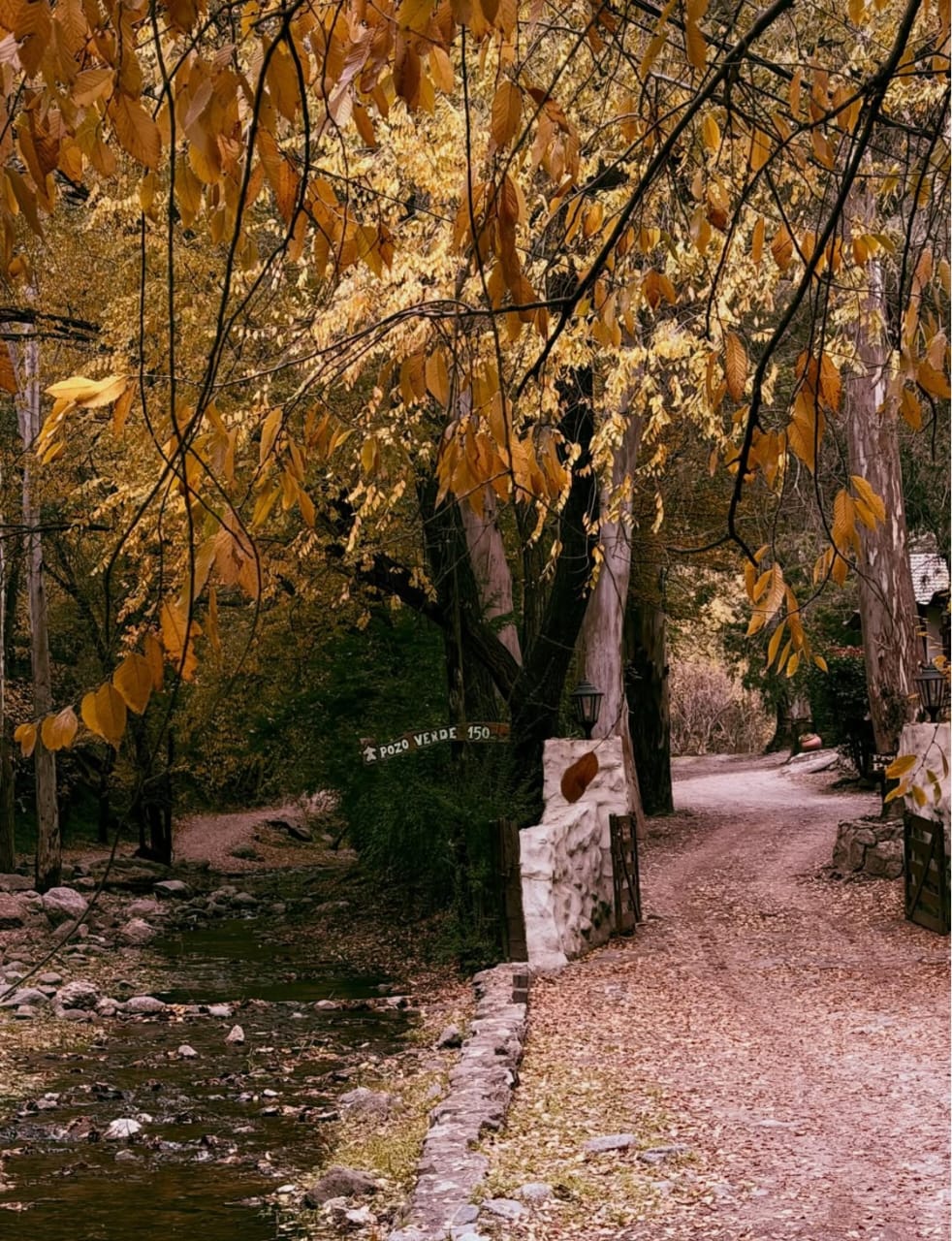Bosques del Valle de Calamuchita