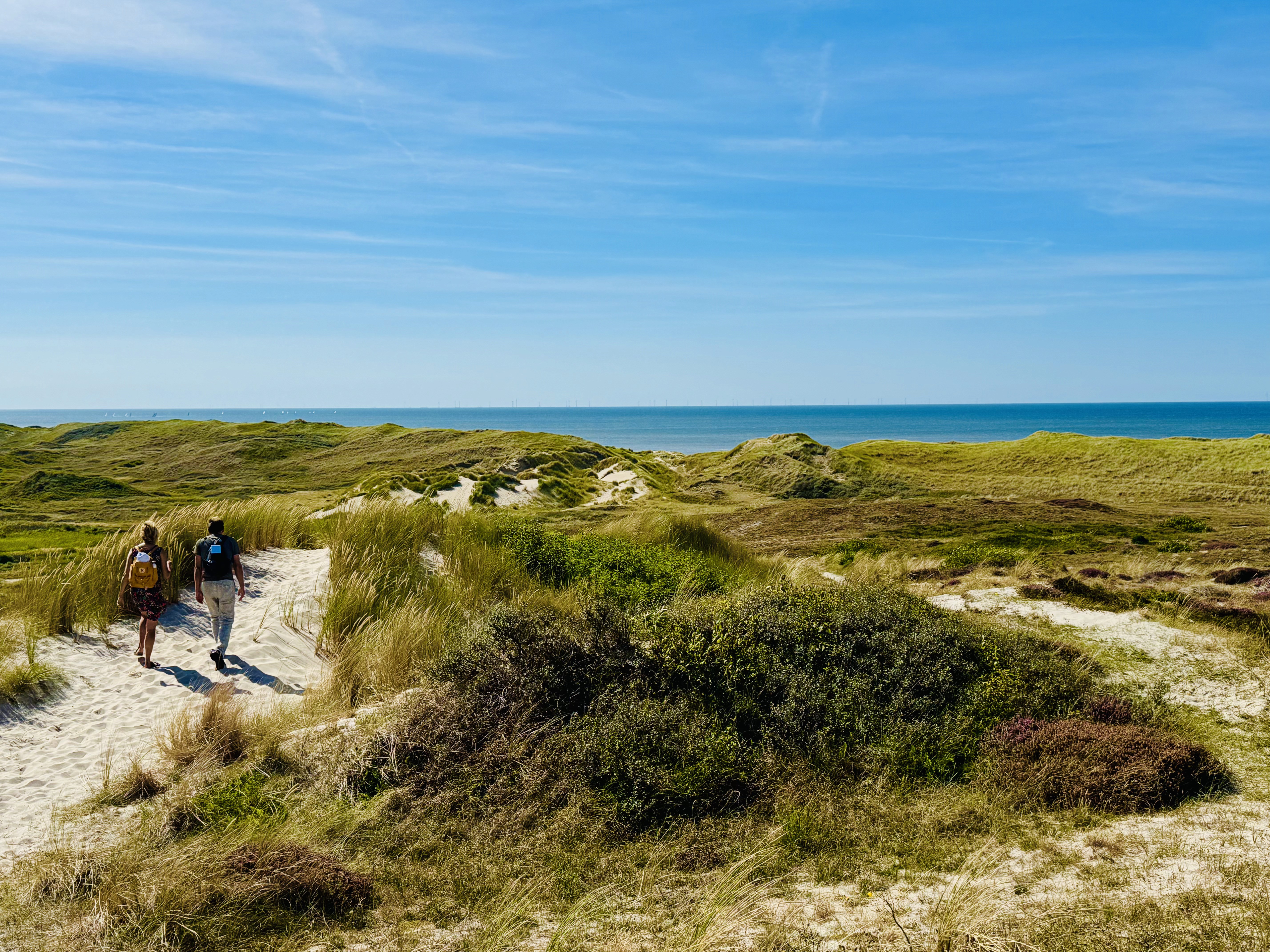 The Blooming Hotel in Winter