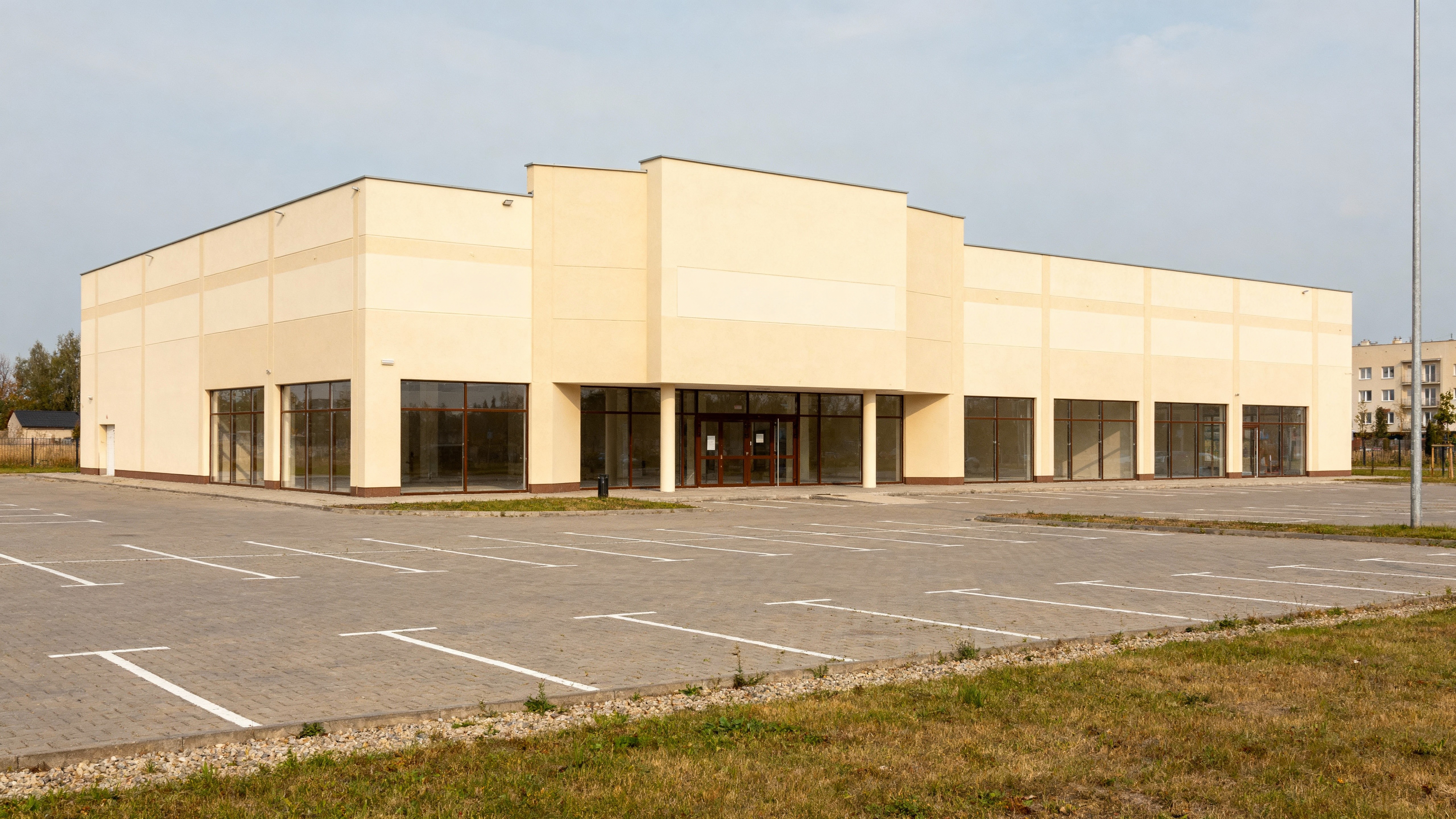 Discovery & Consultation