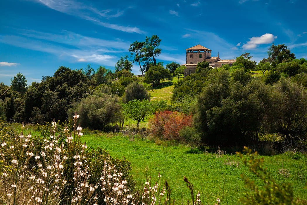 Surrounding Son Penya