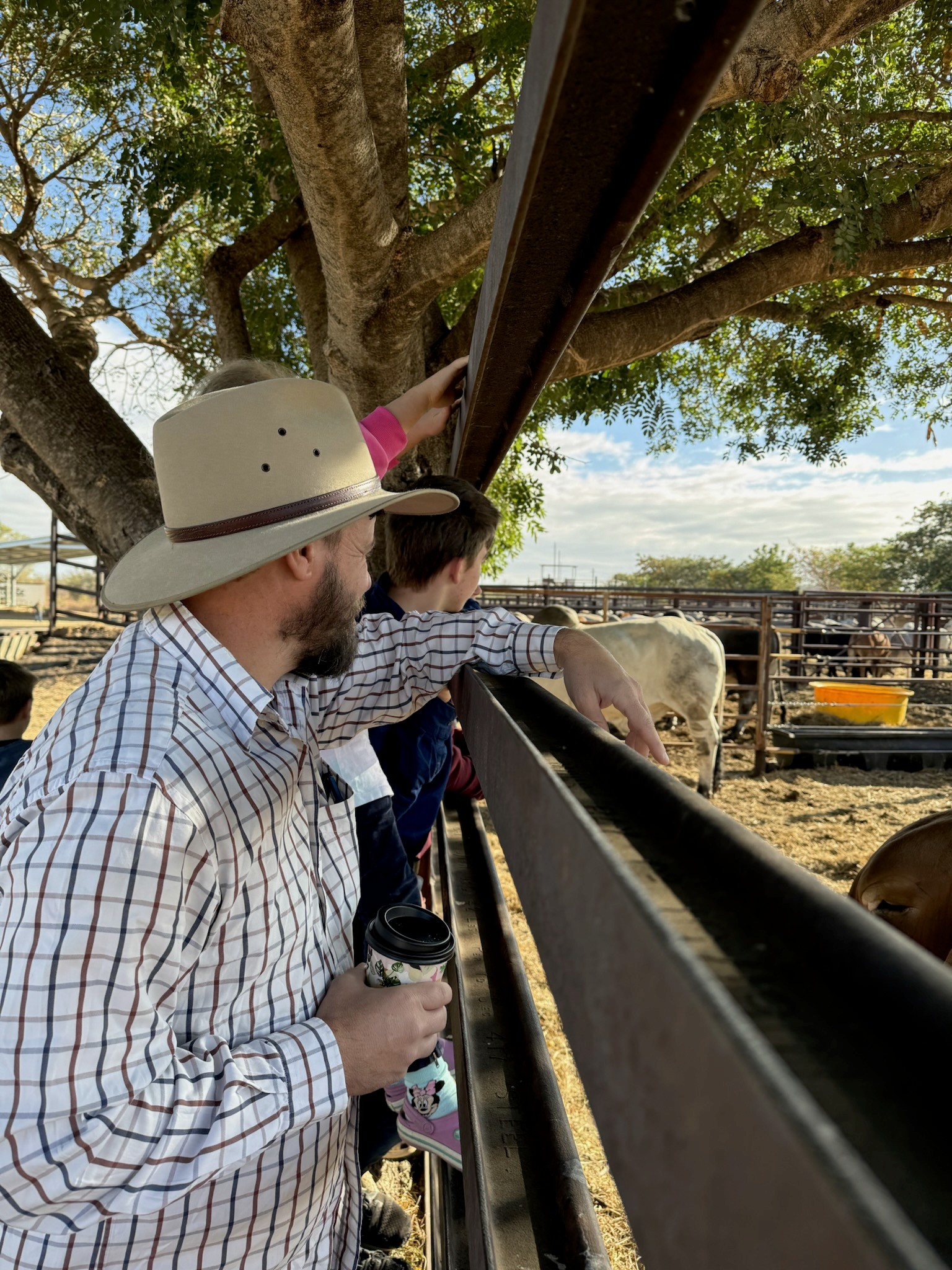 Ross with cattle