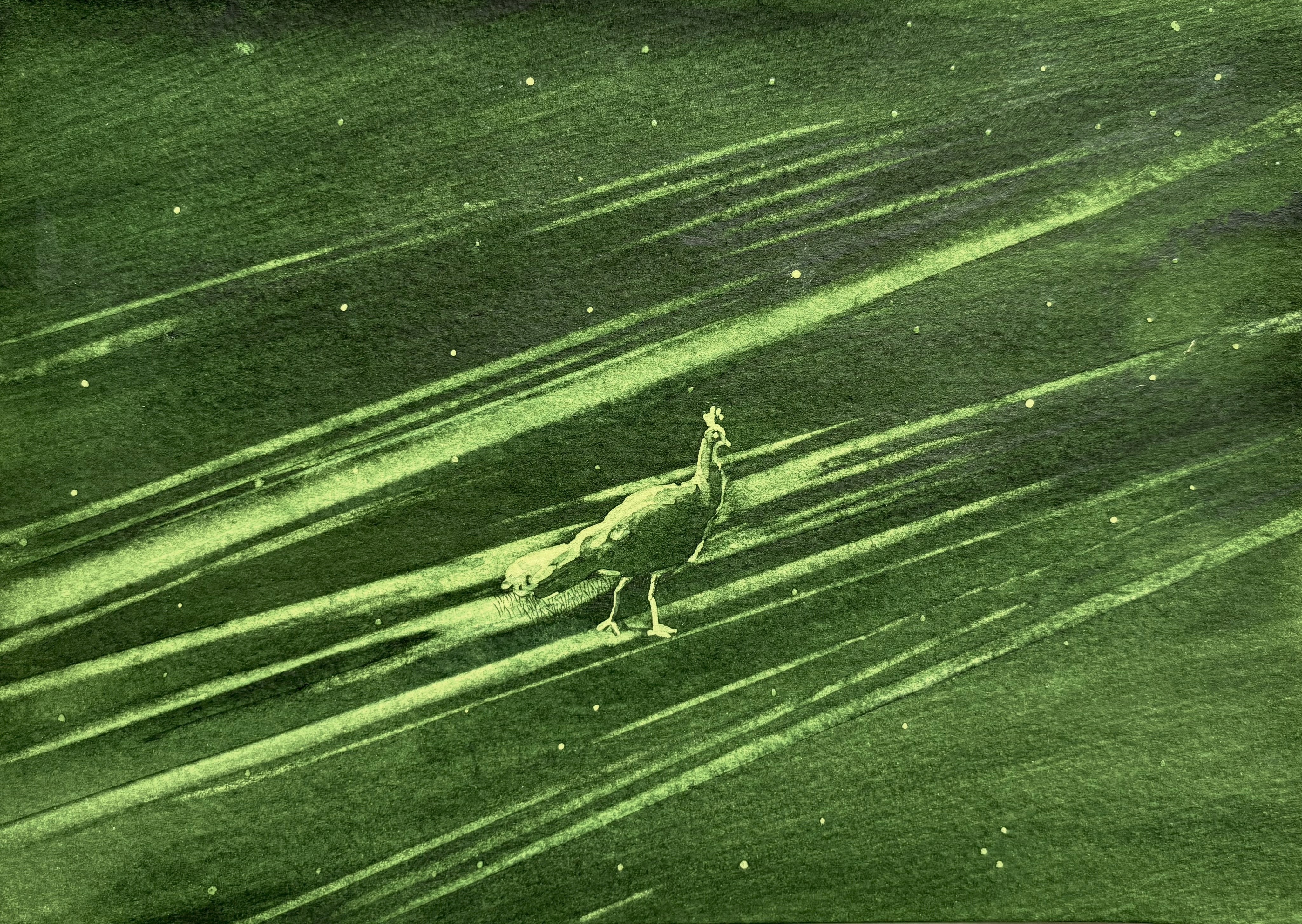 herd of sheep on road painting