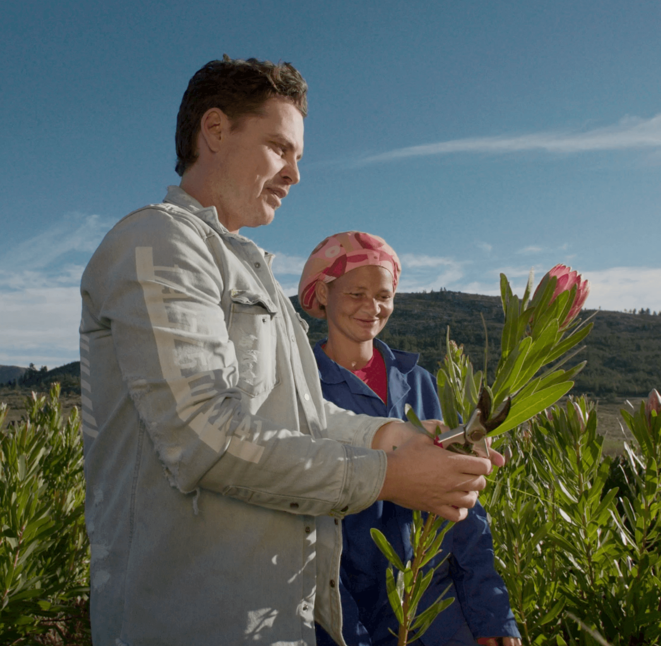Travel with Gareth - Cutting Proteas with Estelle