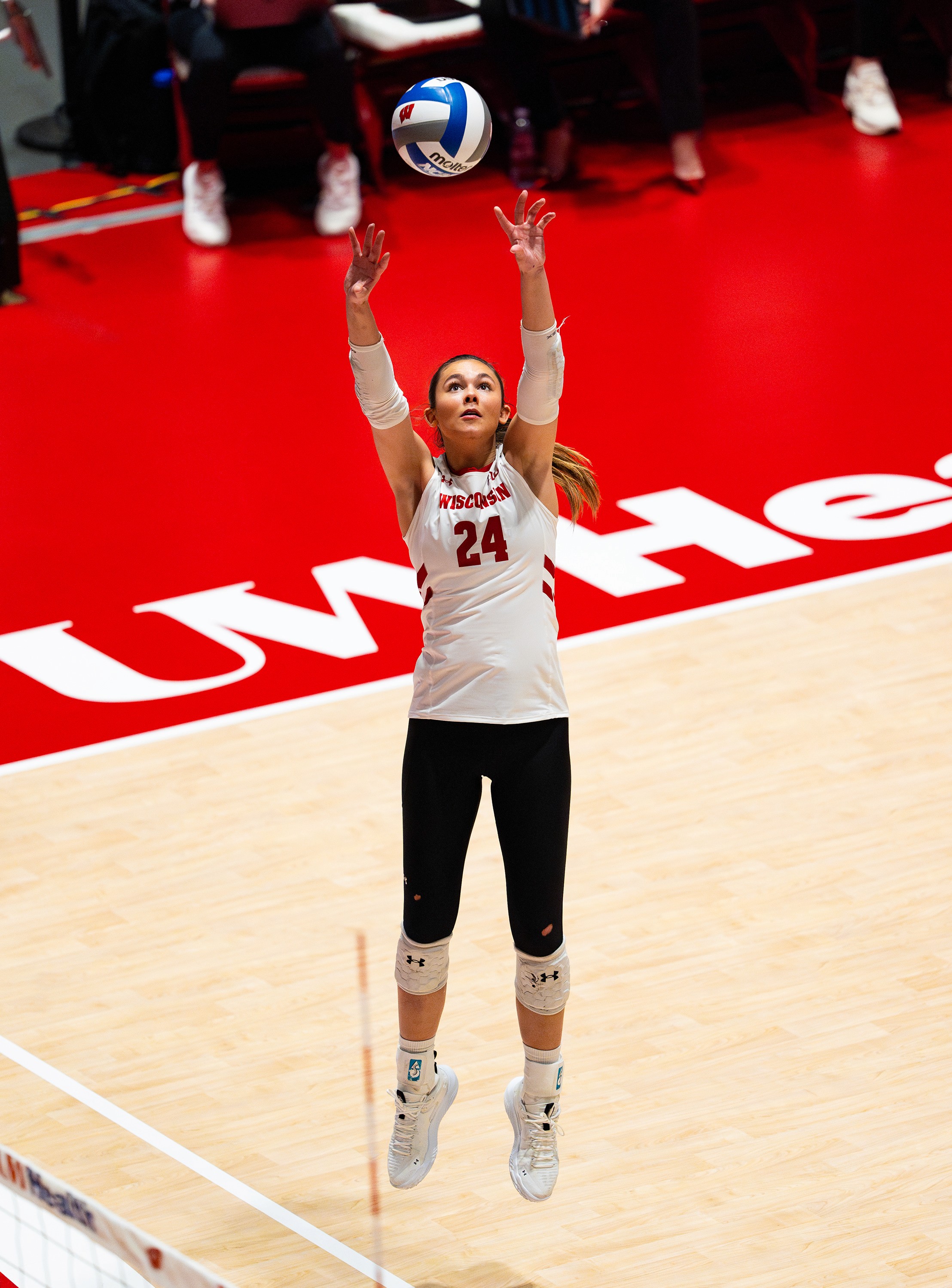 Megan Allen/Undrafted